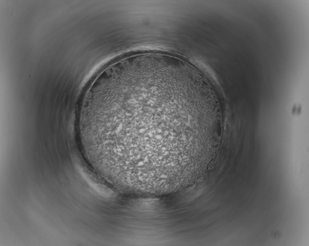 X0000111150108200906301346