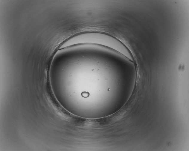X0000111150109200906301346