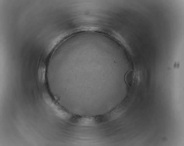 X0000111150110200906301346