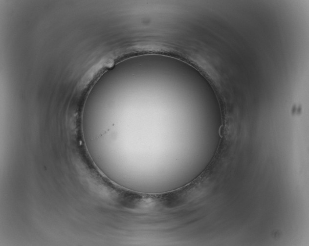 X0000111150111200906301346
