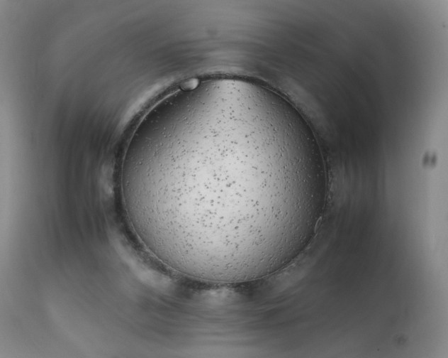 X0000111150112200906301346