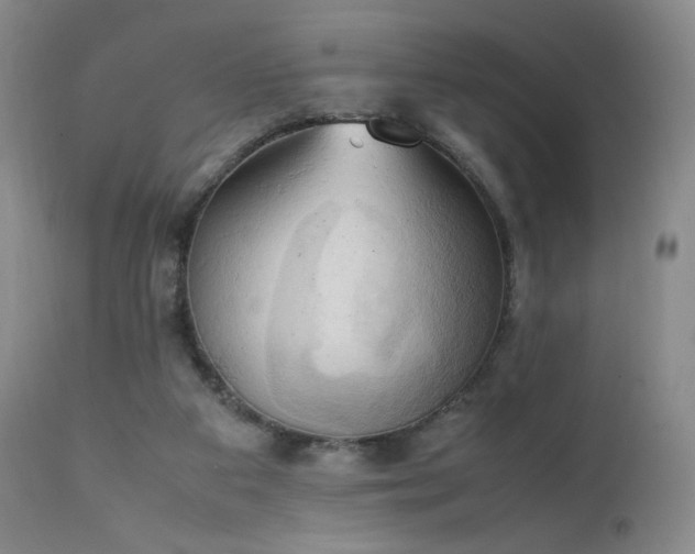 X0000111150113200906301346