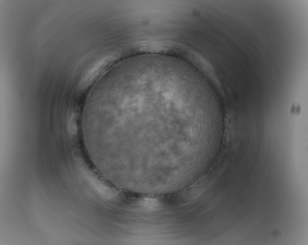 X0000111150114200906301346