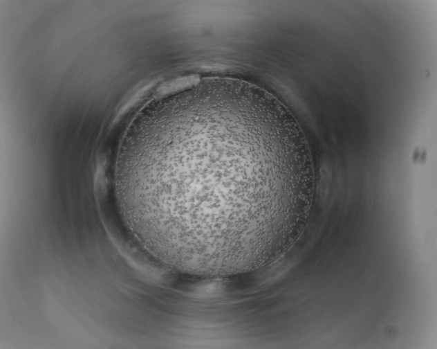X0000111150116200906301346