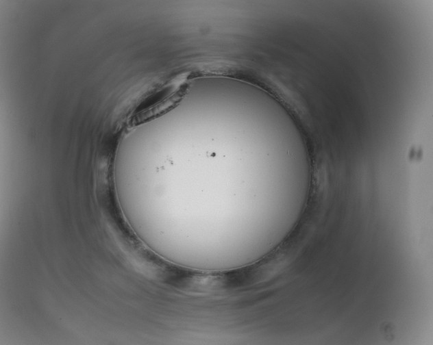 X0000111150117200906301346