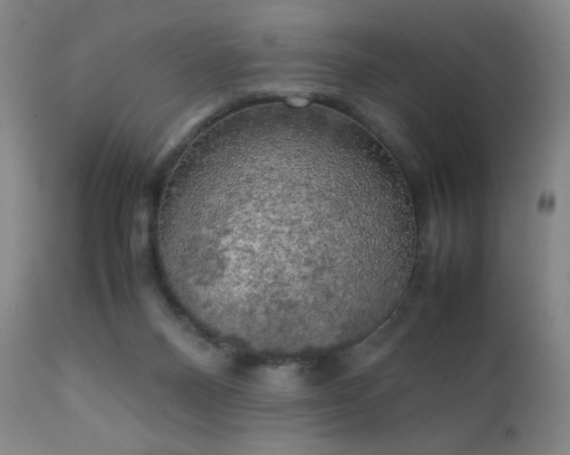 X0000111150120200906301346