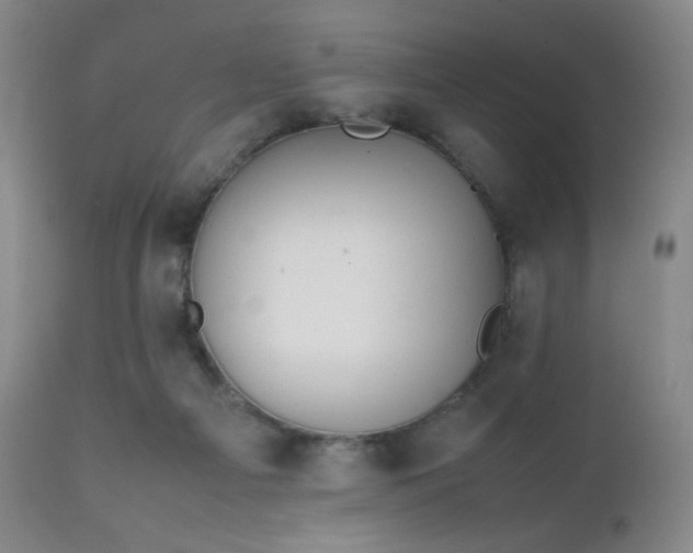 X0000111150121200906301346