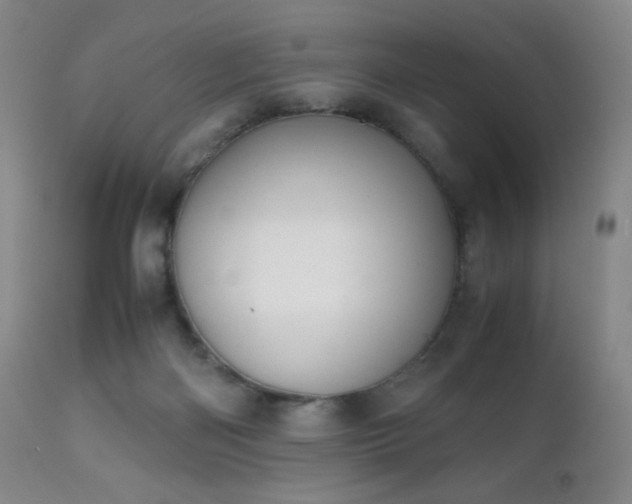 X0000111150122200906301346