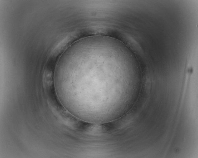 X0000111150123200906301346
