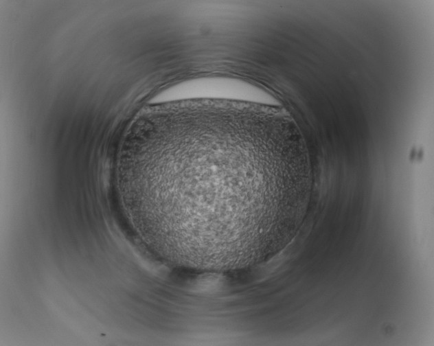 X0000111150124200906301346