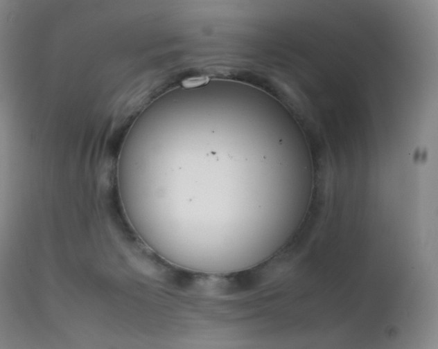 X0000111150125200906301346