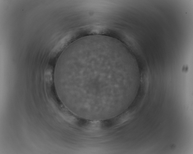 X0000111150127200906301346