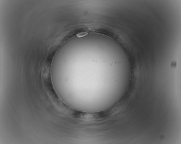 X0000111150129200906301346
