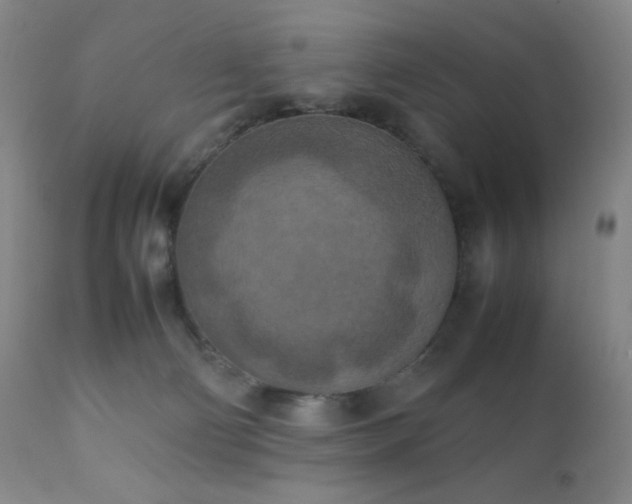 X0000111150130200906301346