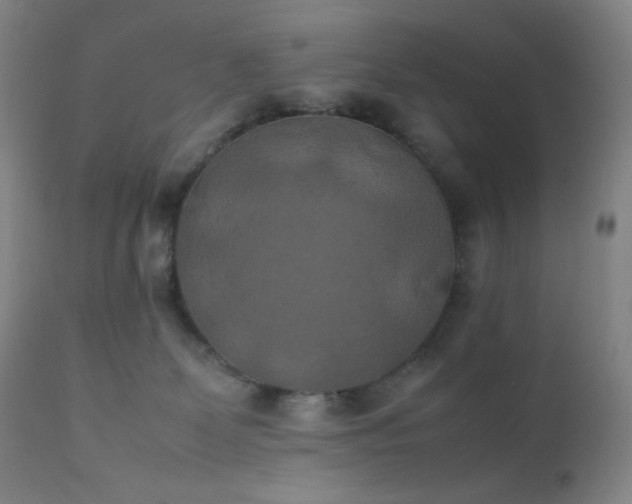 X0000111150131200906301346