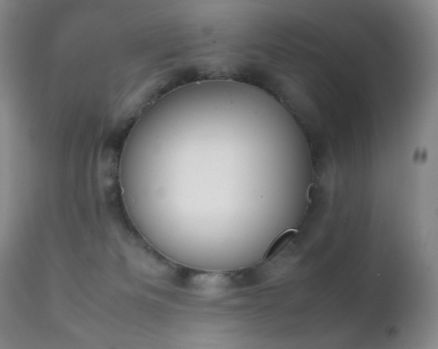 X0000111150133200906301346