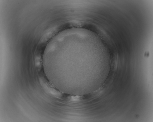 X0000111150134200906301346