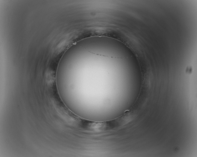 X0000111150135200906301346