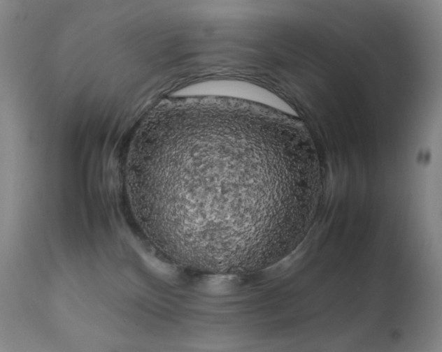 X0000111150136200906301346