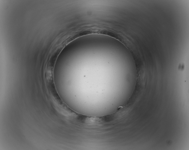 X0000111150137200906301346
