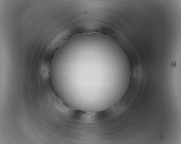 X0000111150138200906301346