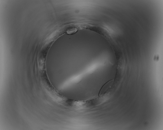 X0000111150139200906301346
