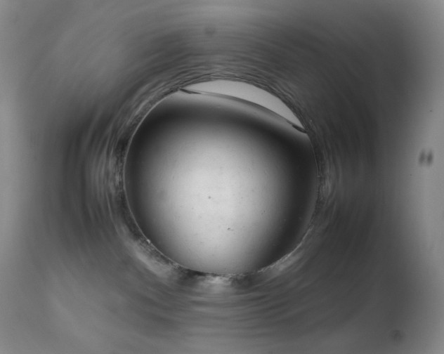 X0000111150140200906301346
