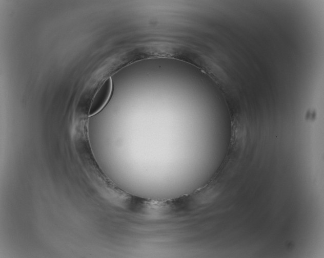 X0000111150141200906301346