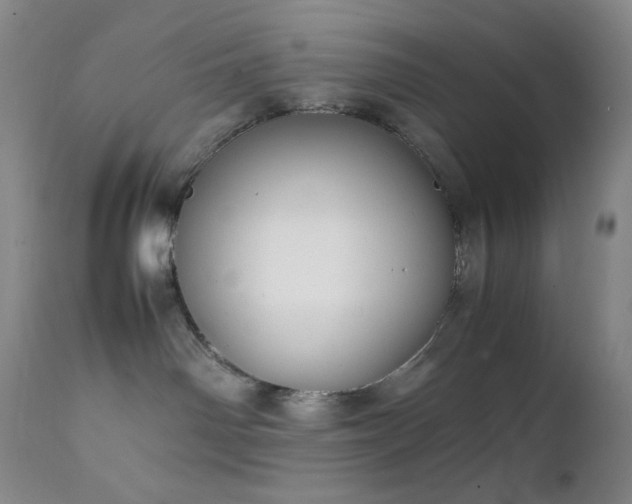 X0000111150142200906301346