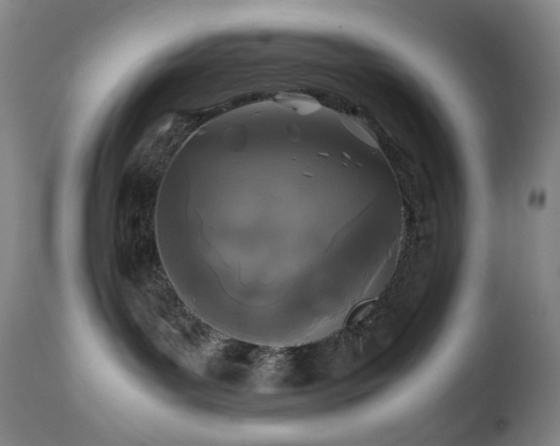 X0000111150143200906301345