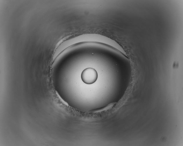 X0000111150144200906301345