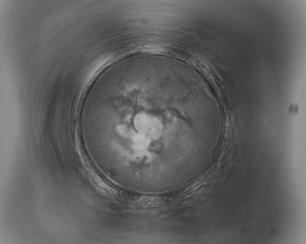 X0000111150145200906301345