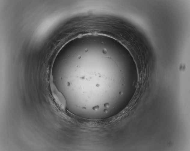 X0000111150146200906301345