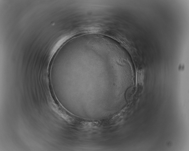 X0000111150147200906301345