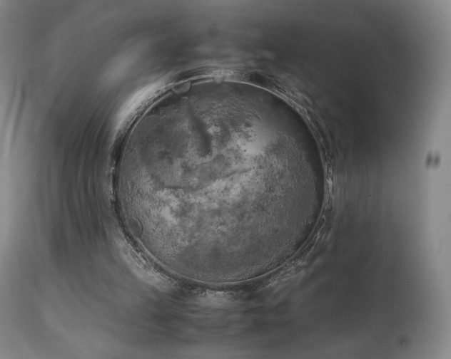 X0000111150149200906301345