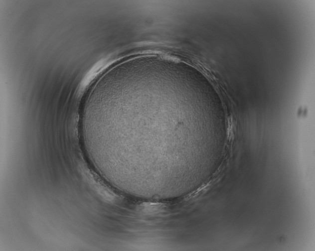 X0000111150150200906301345