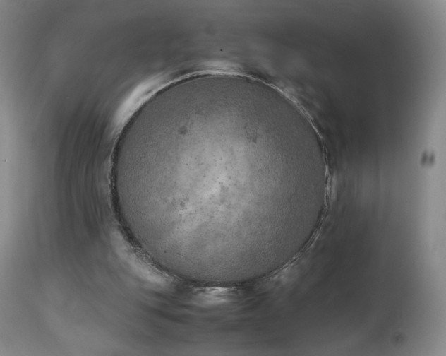 X0000111150151200906301345