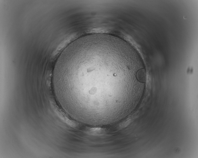 X0000111150153200906301345