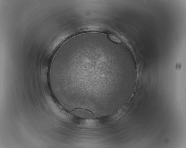 X0000111150154200906301345