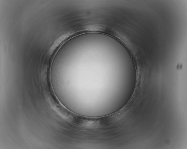 X0000111150155200906301345