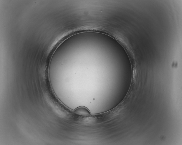 X0000111150156200906301345