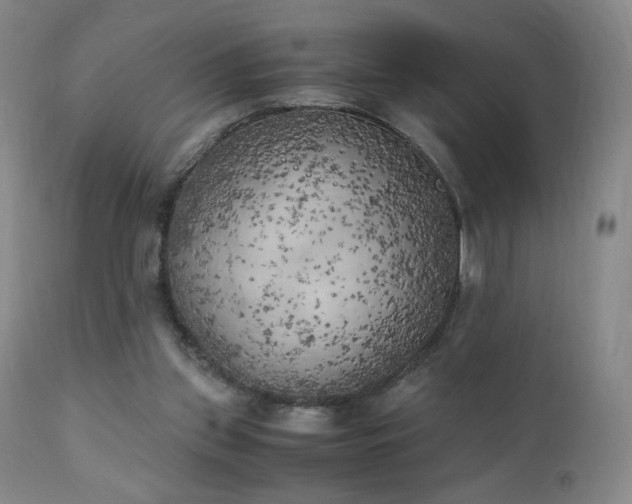 X0000111150157200906301345