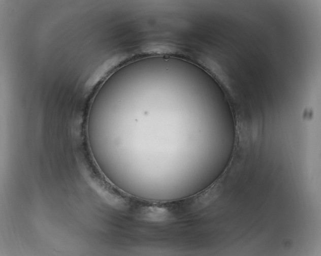X0000111150159200906301345