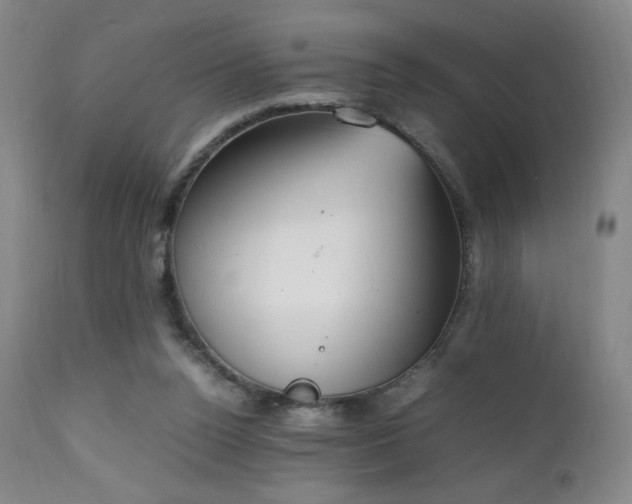 X0000111150160200906301345