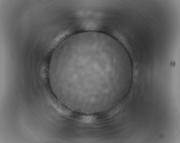 X0000111150161200906301345