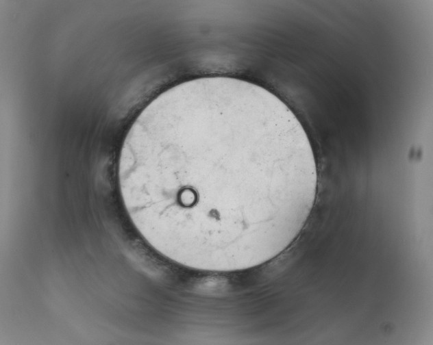 X0000111150162200906301345