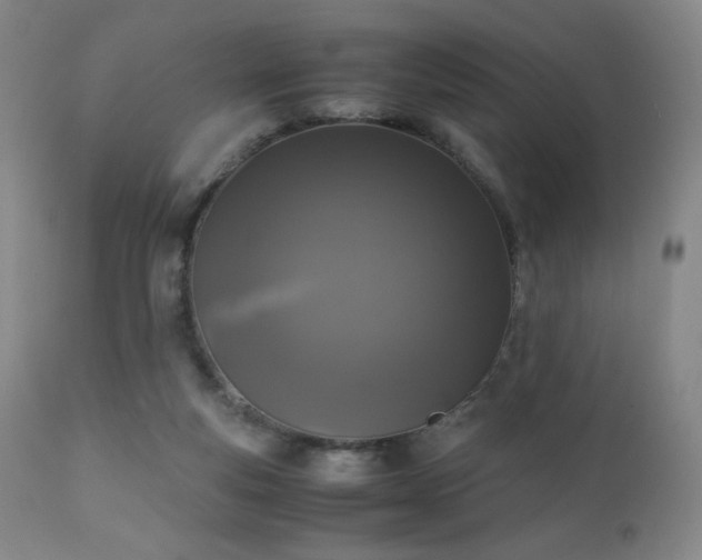X0000111150163200906301345