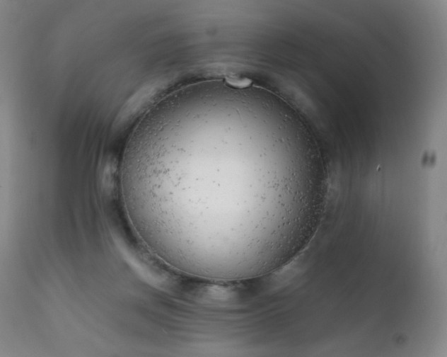 X0000111150166200906301345