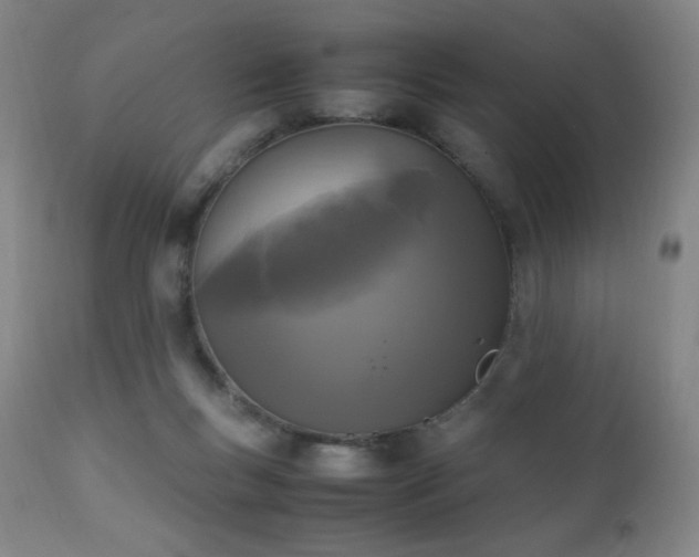 X0000111150167200906301345