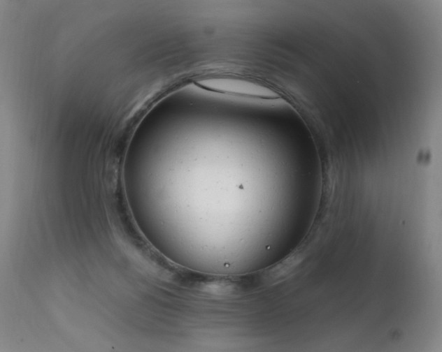 X0000111150168200906301345